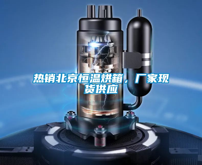 熱銷北京恒溫烘箱，廠家現貨供應