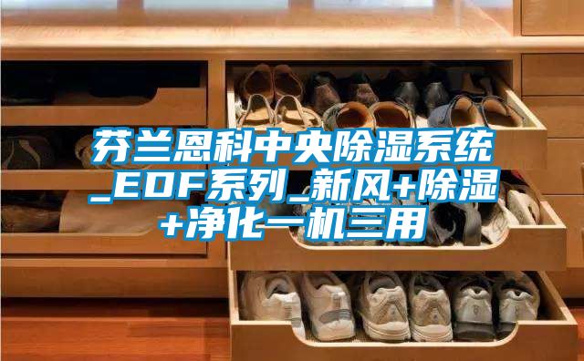 芬蘭恩科中央除濕系統(tǒng)_EDF系列_新風+除濕+凈化一機三用