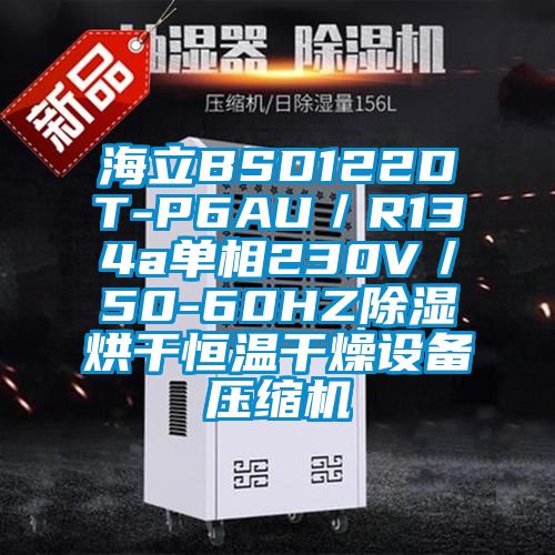 海立BSD122DT-P6AU／R134a單相230V／50-60HZ除濕烘干恒溫干燥設備壓縮機
