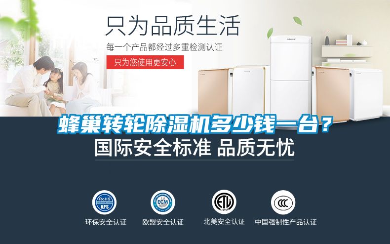 蜂巢轉輪除濕機多少錢一臺？