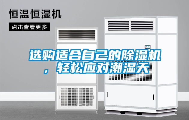 選購適合自己的除濕機，輕松應對潮濕天