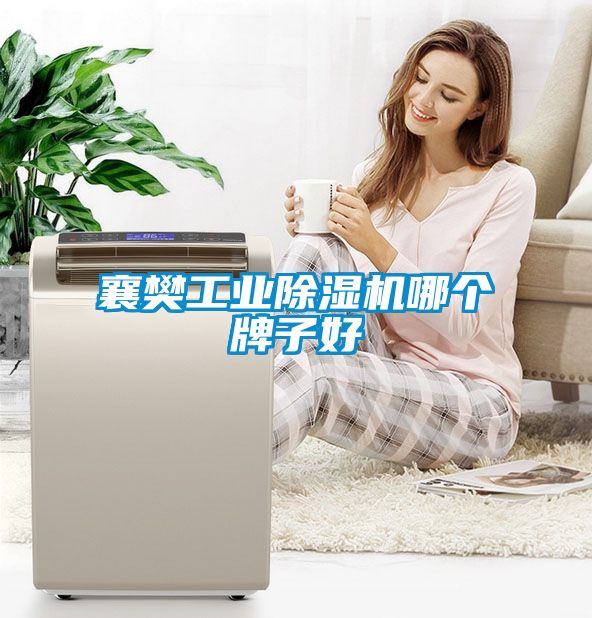 襄樊工業除濕機哪個牌子好