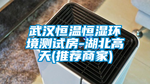 武漢恒溫恒濕環境測試房-湖北高天(推薦商家)