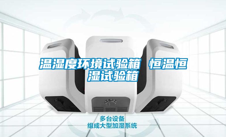 溫濕度環境試驗箱 恒溫恒濕試驗箱