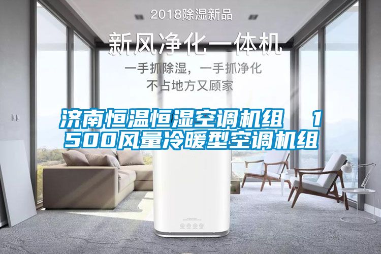 濟南恒溫恒濕空調(diào)機組  1500風(fēng)量冷暖型空調(diào)機組