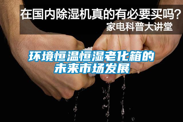 環境恒溫恒濕老化箱的未來市場發展