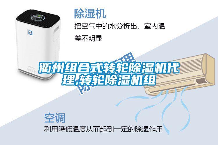 衢州組合式轉輪除濕機代理,轉輪除濕機組