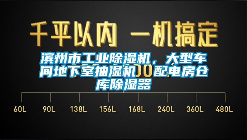 濱州市工業(yè)除濕機，大型車間地下室抽濕機  配電房倉庫除濕器