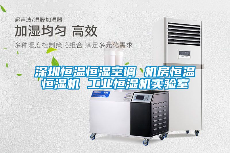 深圳恒溫恒濕空調 機房恒溫恒濕機 工業恒濕機實驗室