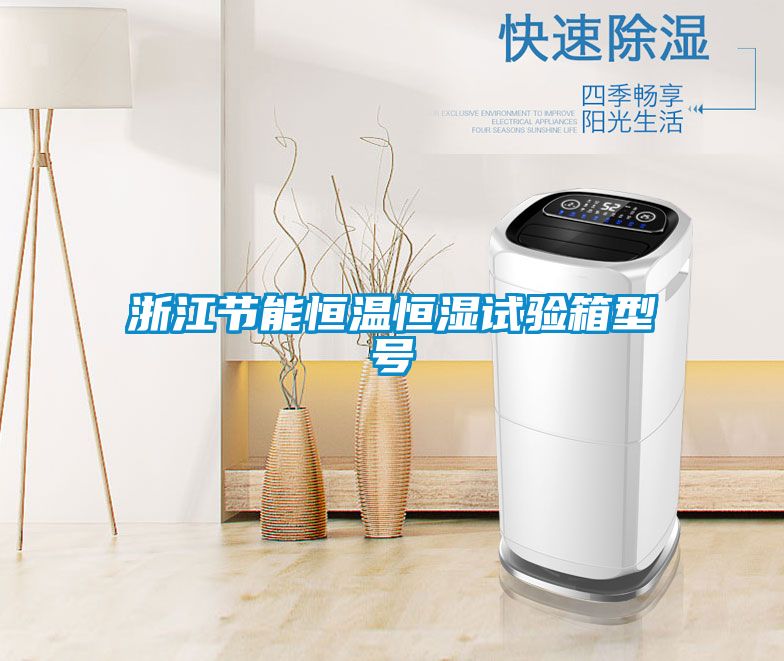 浙江節能恒溫恒濕試驗箱型號