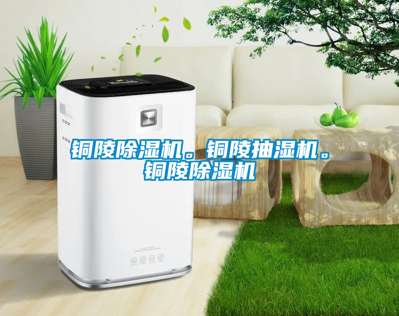銅陵除濕機。銅陵抽濕機。銅陵除濕機