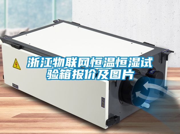 浙江物聯網恒溫恒濕試驗箱報價及圖片