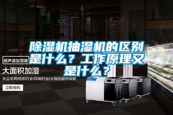 除濕機(jī)抽濕機(jī)的區(qū)別是什么？工作原理又是什么？
