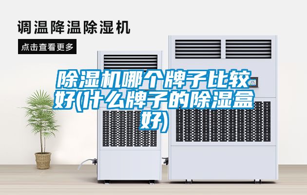 除濕機哪個牌子比較好(什么牌子的除濕盒好)