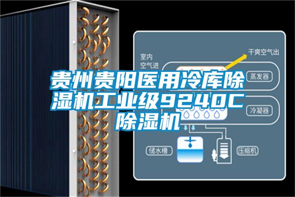 貴州貴陽醫用冷庫除濕機工業級9240C除濕機
