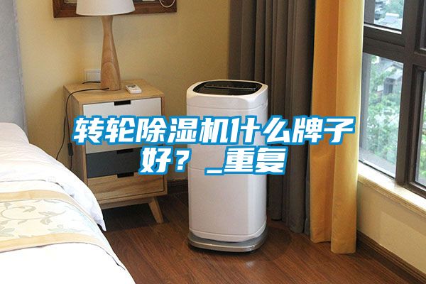 轉輪除濕機什么牌子好？_重復