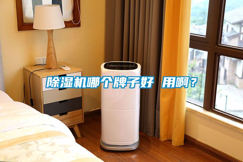 除濕機哪個牌子好 用啊？
