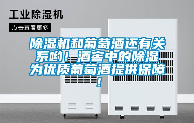 除濕機和葡萄酒還有關系喲！酒窖中的除濕為優質葡萄酒提供保障！