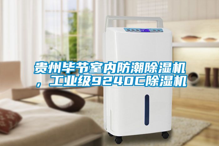 貴州畢節室內防潮除濕機，工業級9240C除濕機