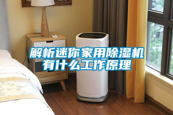 解析迷你家用除濕機有什么工作原理