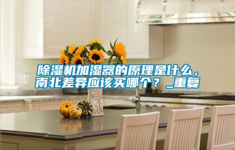 除濕機加濕器的原理是什么，南北差異應(yīng)該買哪個？_重復(fù)