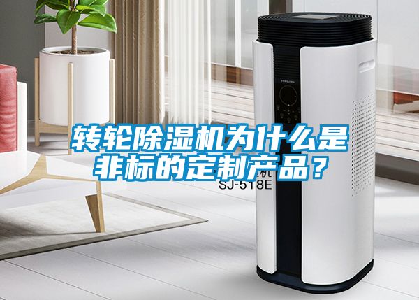 轉輪除濕機為什么是非標的定制產品？