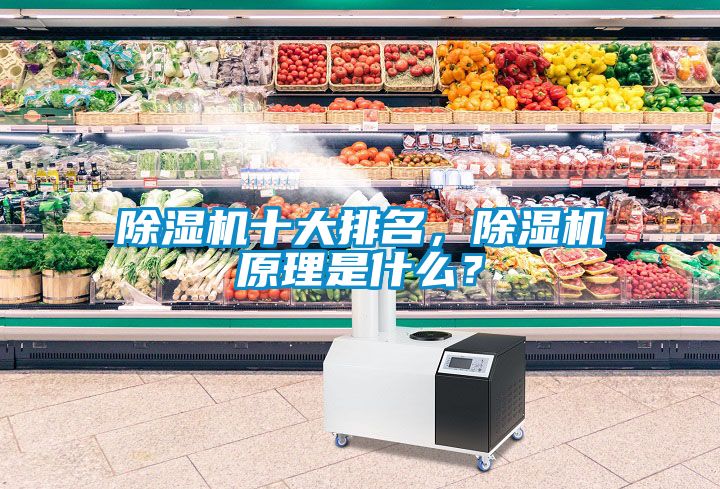 除濕機十大排名，除濕機原理是什么？
