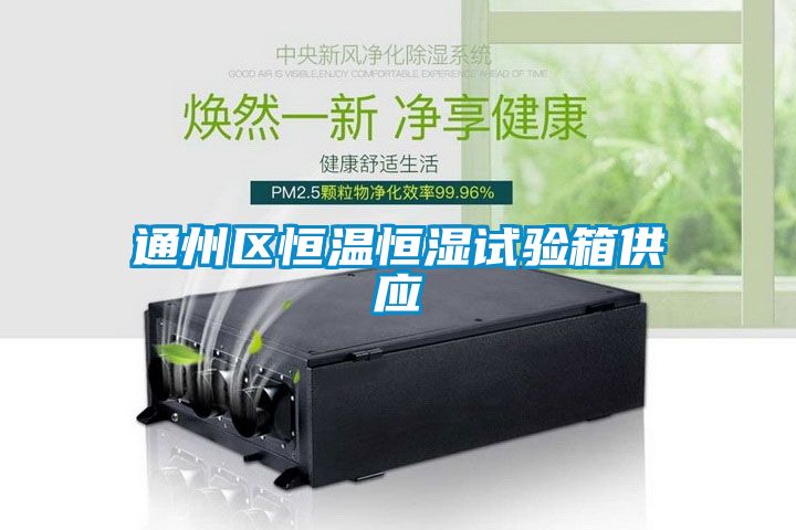 通州區(qū)恒溫恒濕試驗箱供應(yīng)