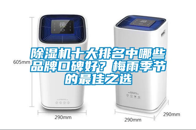 除濕機十大排名中哪些品牌口碑好？梅雨季節的最佳之選