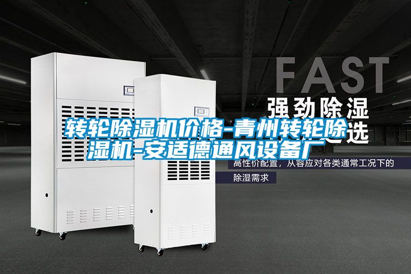 轉輪除濕機價格-青州轉輪除濕機-安適德通風設備廠