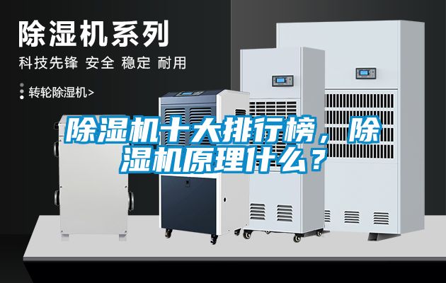 除濕機十大排行榜，除濕機原理什么？