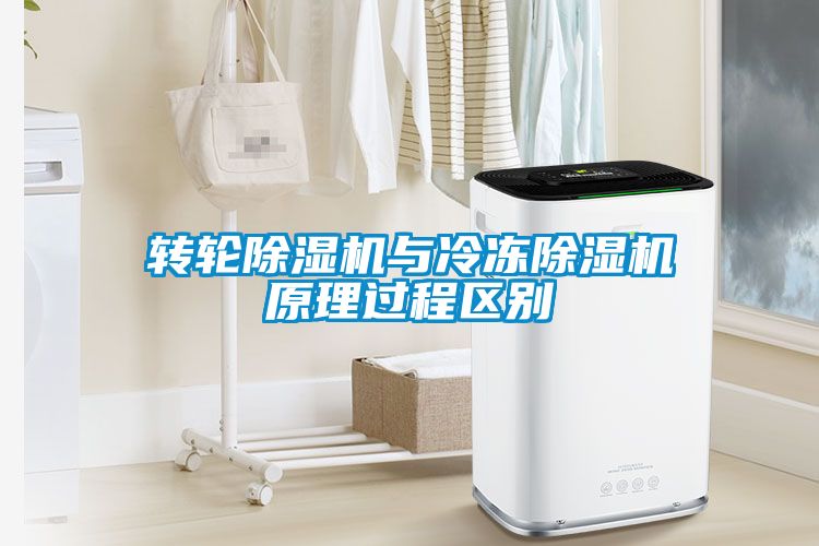 轉輪除濕機與冷凍除濕機原理過程區別