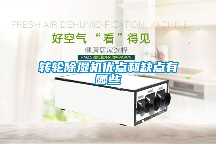 轉輪除濕機優點和缺點有哪些