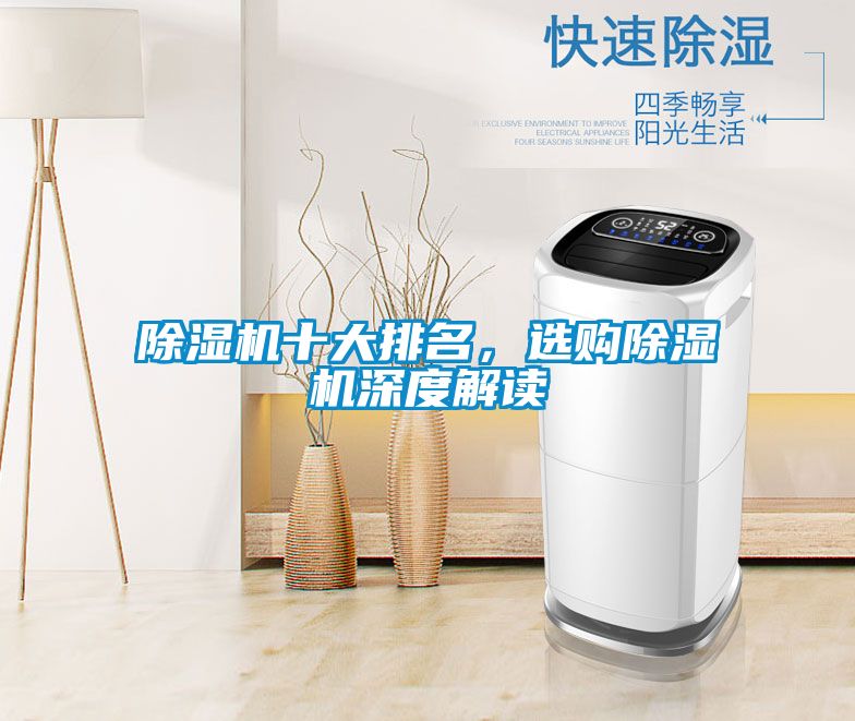 除濕機十大排名，選購除濕機深度解讀