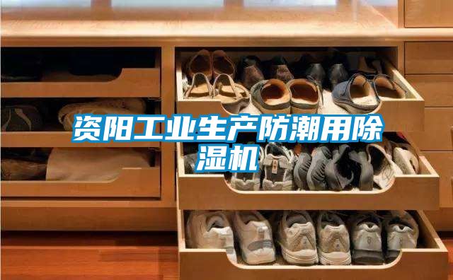 資陽工業生產防潮用除濕機