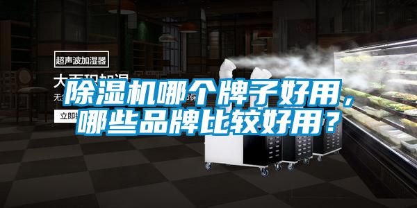 除濕機哪個牌子好用，哪些品牌比較好用？