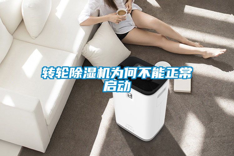 轉輪除濕機為何不能正常啟動