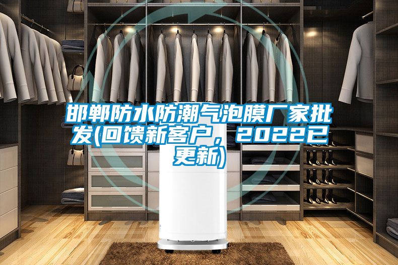 邯鄲防水防潮氣泡膜廠家批發(fā)(回饋新客戶，2022已更新)