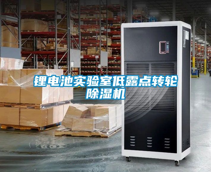 鋰電池實驗室低露點轉(zhuǎn)輪除濕機