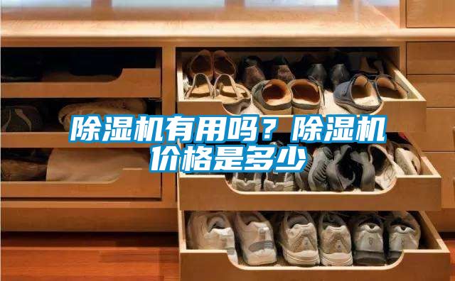 除濕機有用嗎？除濕機價格是多少