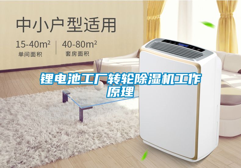 鋰電池工廠轉(zhuǎn)輪除濕機工作原理