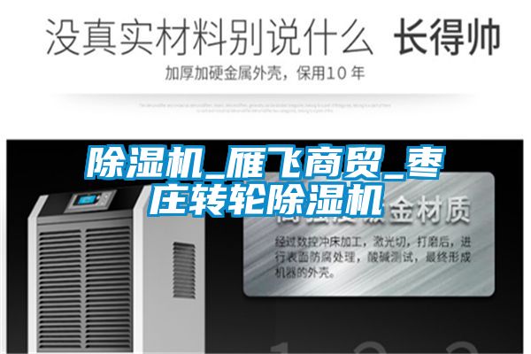 除濕機_雁飛商貿_棗莊轉輪除濕機