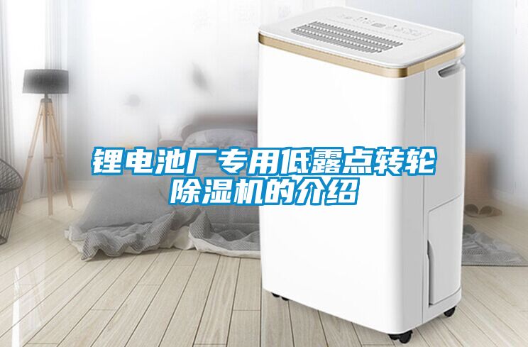 鋰電池廠專用低露點轉(zhuǎn)輪除濕機的介紹