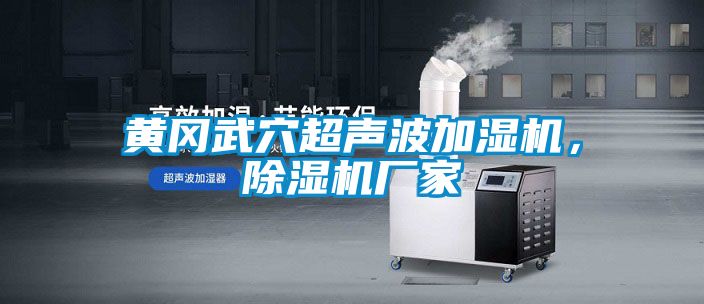 黃岡武穴超聲波加濕機，除濕機廠家