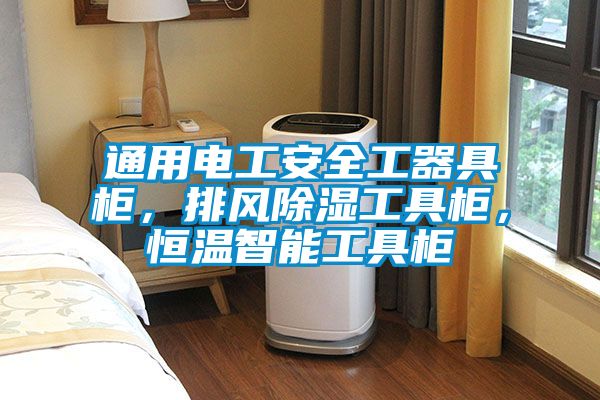 通用電工安全工器具柜，排風(fēng)除濕工具柜，恒溫智能工具柜