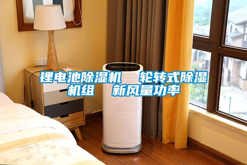 鋰電池除濕機  輪轉(zhuǎn)式除濕機組  新風量功率