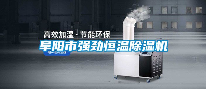 阜陽市強勁恒溫除濕機