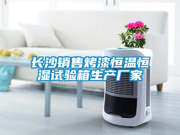 長沙銷售烤漆恒溫恒濕試驗箱生產(chǎn)廠家