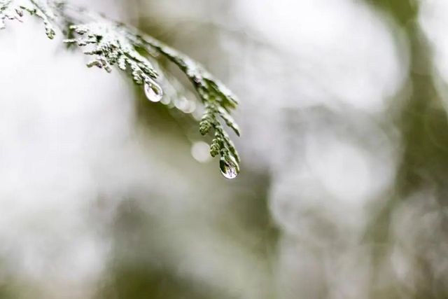 空氣濕度大帶來的危害有哪些，你知道嗎？